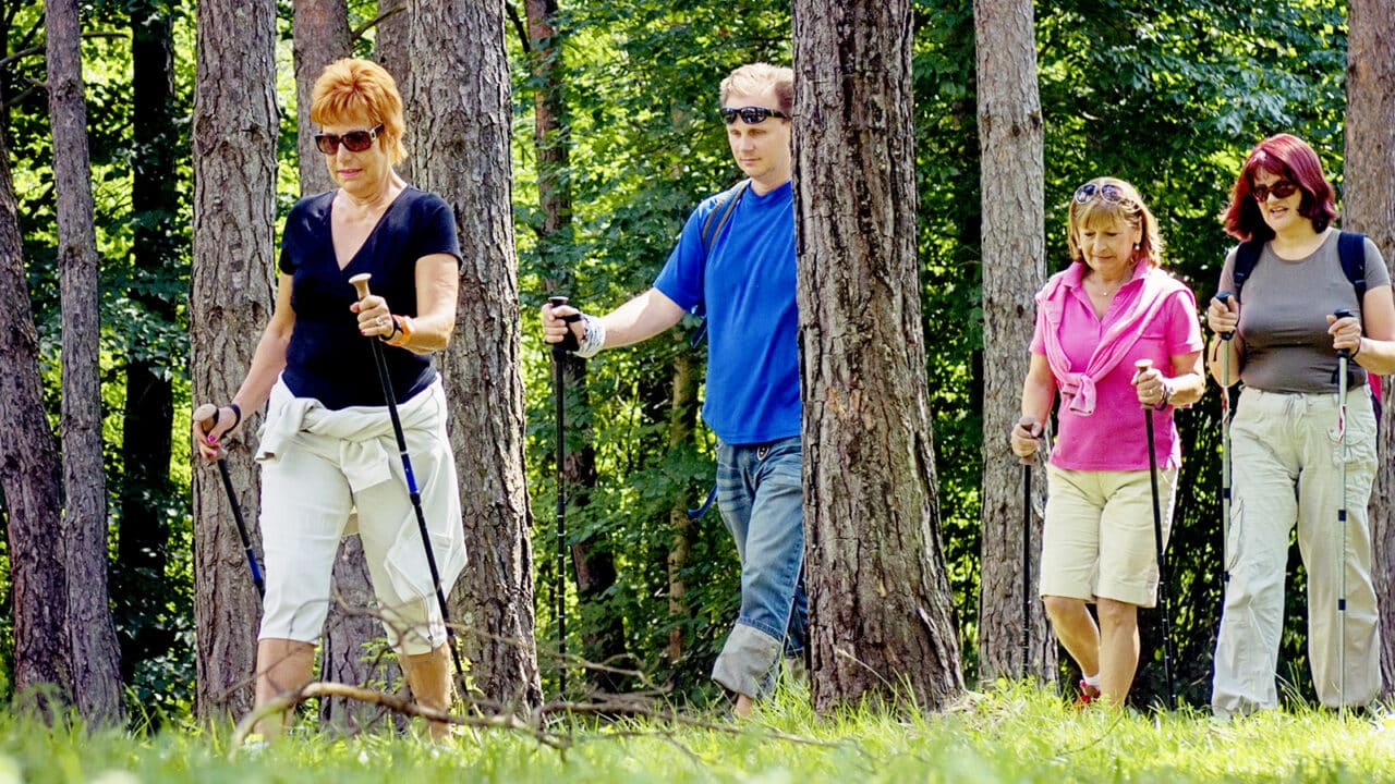 Ryhmä ihmisiä sauvakävelee metsässä.