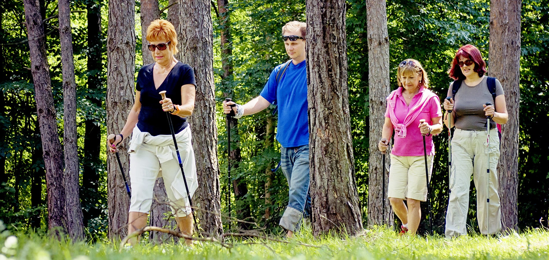 Ryhmä ihmisiä sauvakävelee metsässä.